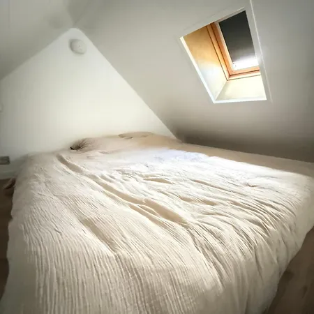 Dock Loft 게스트하우스