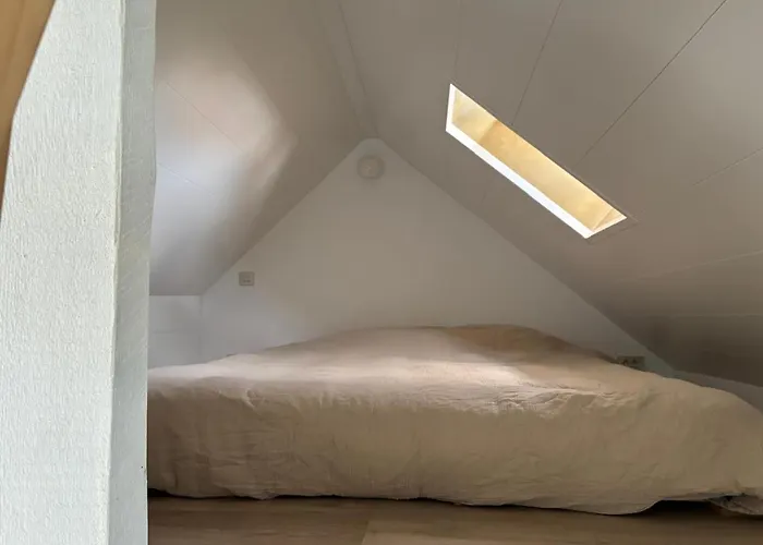 Dock Loft Pensión Gante